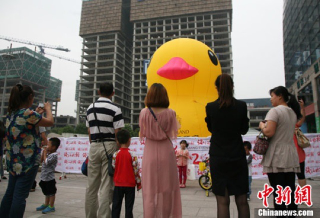 Illustration for article titled In China, There Are Too Many Giant Rubber Duck Rip-Offs